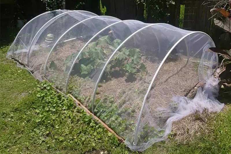 Insect Net House supplier siliguri