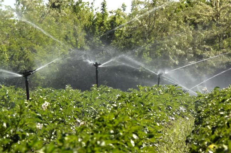 high pressure sprinkler irrigation dealer siliguri